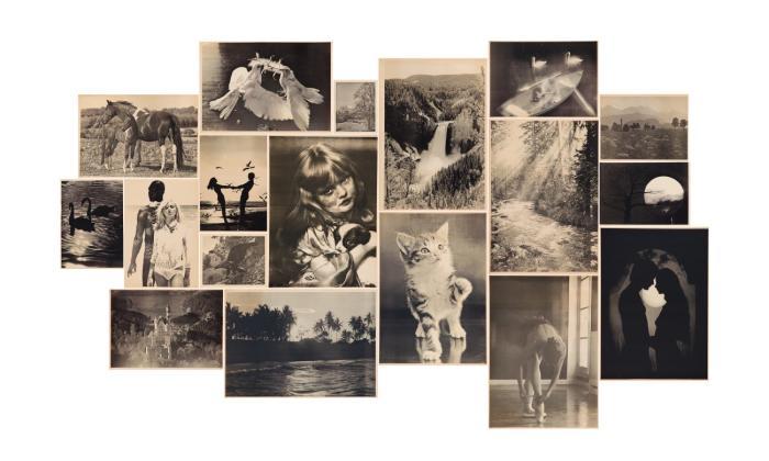 SONNTAGSBILDER
