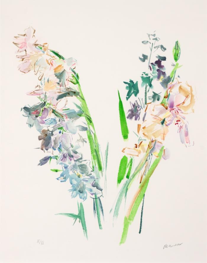 LILIEN UND RITTERSPORN.