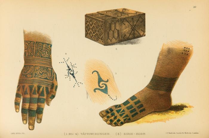 Unter den Kannibalen auf Borneo. Eine Reise auf dieser Insel und auf Sumatra. Einzig autorisierte deutsche Ausgabe. Aus dem Englischen [von R. Springer]. Mit einleitendem Vorwort von Alfred Kirchhoff. Zweite Auflage.