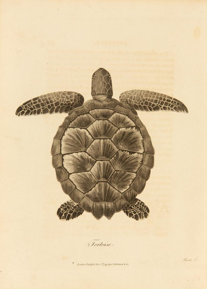 Travels to discover the source of the Nile in the years 1768 - 1773. 5 Bde.