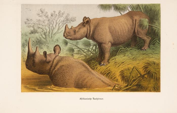 Reisen in Ost-Afrika in den Jahren 1859 bis 1861 / 1862 bis 1865. 2 Bde.