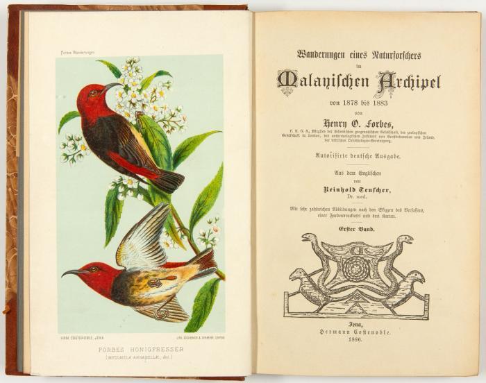 Wanderungen eines Naturforschers im Malayischen Archipel von 1878 bis 1883. Autorisirte deutsche Ausgabe. Aus dem Englischen von Reinhold Teuscher.