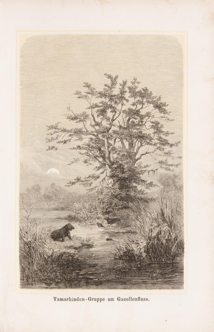 Reise in das Gebiet des Weissen Nil und seiner westlichen Zuflüsse in den Jahren 1862-1864.