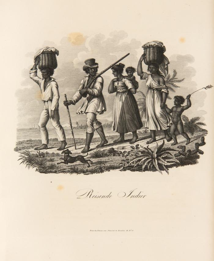 Reise nach Brasilien in den Jahren 1815 bis 1817. 2 Bde.