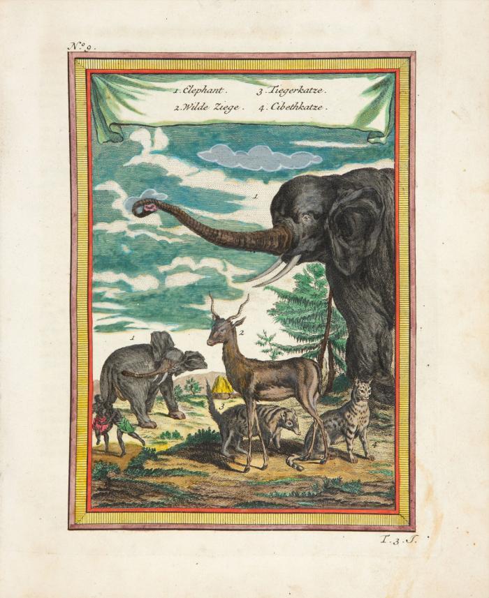 Allgemeine Historie der Reisen zu Wasser und zu Lande; oder Sammlung aller Reisebeschreibungen ... Bd. III.