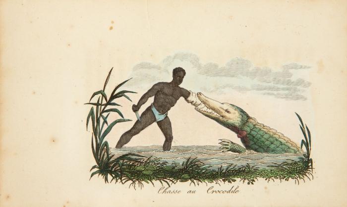 L'Afrique, ou histoire, moeurs, usages et coutumes des Africains. Le Sénégal. 4 Bde.