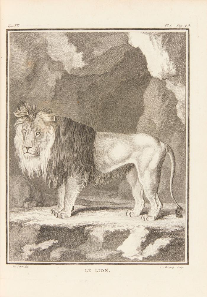 Histoire naturelle, générale et particulière, avec la déscription du Cabinet du Roi (par L. J. M. Daubenton). 32 (von 36) Bdn.