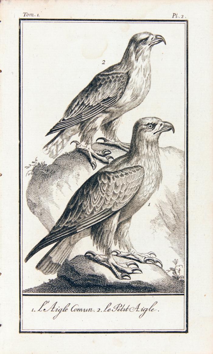 Histoire naturelle générale et particulière. Oiseaux. 18 Bde.