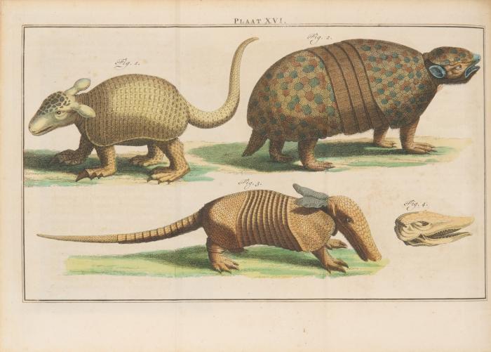 Natuurlyke Historie of Uitvoerige Beschryving der Dieren, Planten en Mineraalen, Volgens het Samenstel van den Heer Linnaeus. Met naauwkeurige Afbeeldingen. Tl. I, 1-16, 18 (von 18) / Tl. III, 1-5 (Schluss) in 22 Bdn.