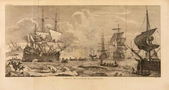 Histoire des pêches., des découvertes et des établissemns des Hollandois, dans les mers du Nord. ... traduit du Hollandois par les soins du Gouvernement, enrichi de Notes ... 3 Bde.
