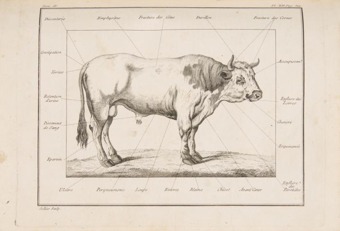 Cours complet d'agriculture. Théorique, pratique, économique, et de médecine rurale et vétérinaire; suivi d'une méthode pour étudier l'agriculture par principes: ou dictionnaire universel d'agriculture. 12 Bde.