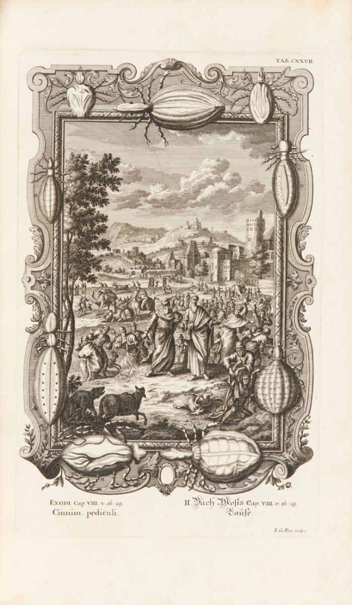 Physique sacr0ée, ou Histoire-Naturelle de la Bible. Trad. du Latin. Bde Ii-VIII (von 8, ohne Band I).
