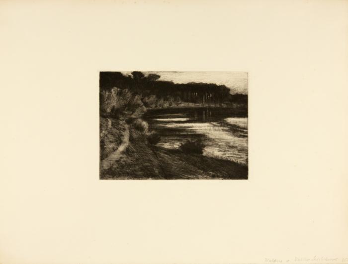 Waldsee. (Der Schlachtensee im Grunewald).