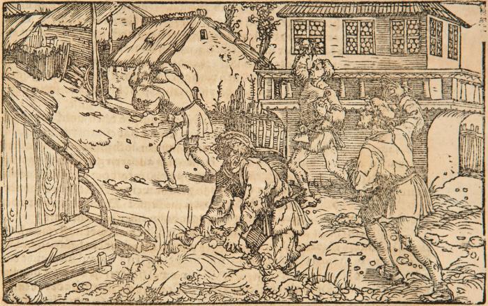 Hülff,Trost vnd Rath in allem anligen der Menschen ... zwei Trostbücher, von Artznei und Rath beyde im guten und widerwertigen Glück.