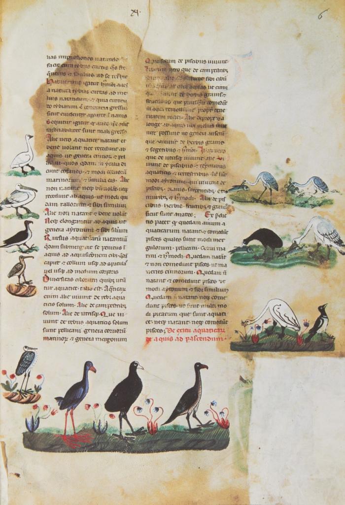 De arte venandi cum avibus. Ms. Pal. Lat. 1071, Biblioteca Apostolica Vaticana. Faksimile und Kommentar  in 2 Bdn.