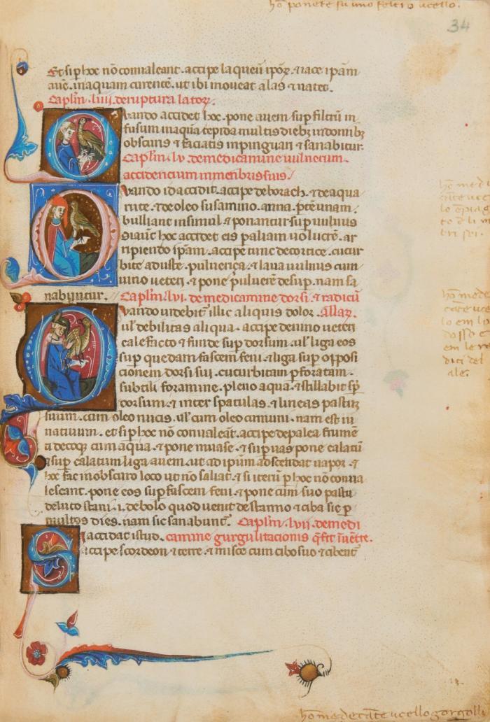 Wiener Moamin. Vollständiges Faksimile im Originalformat der Handschrift K 4984 des Kunsthistorischen Museums, Wien.