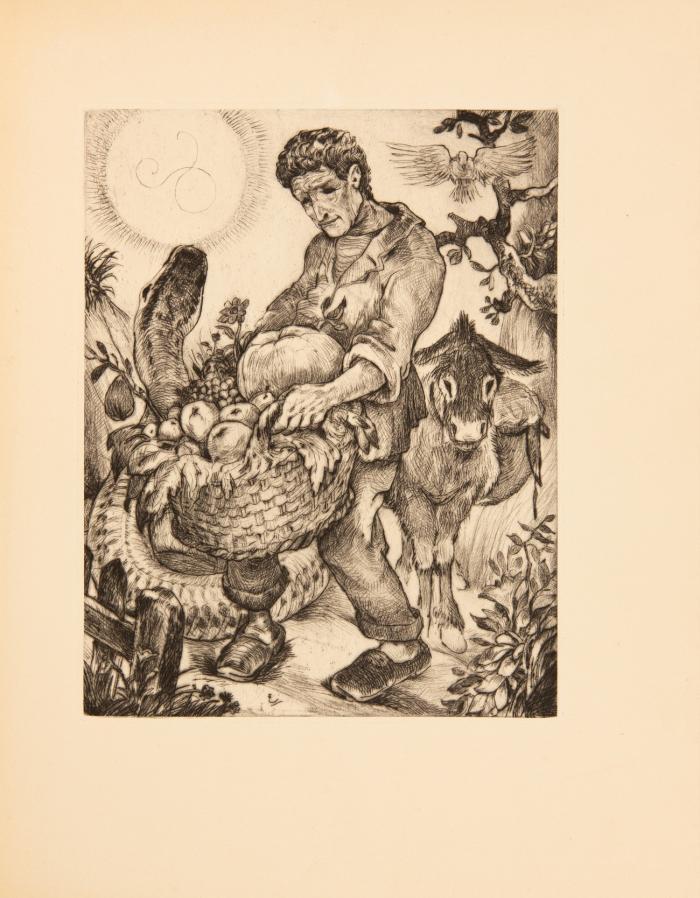 L'Âne culotte.
