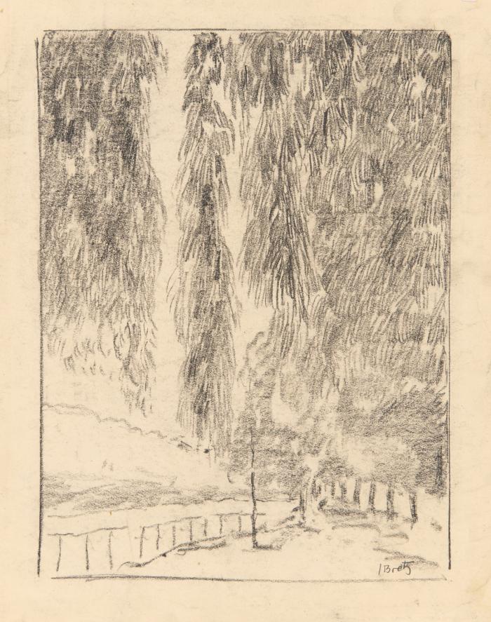EICHE 1920 / TREIBHAUS 1947 / TRAUERWEIDE