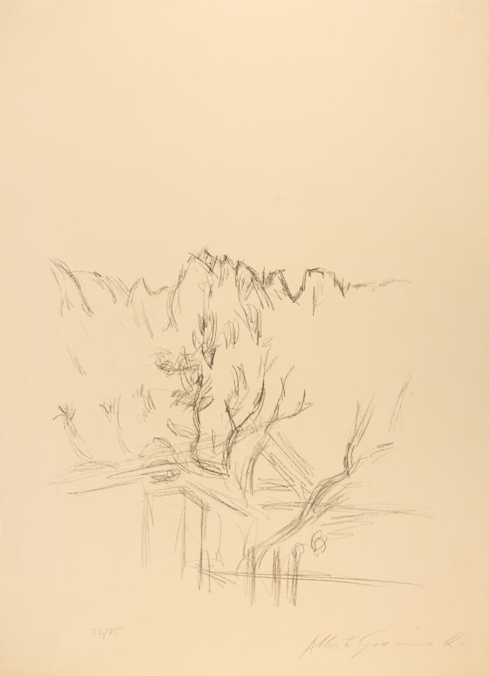 PAYSAGE AUX ARBRES ET AUX MONTAGNES EN BREGAGLIA