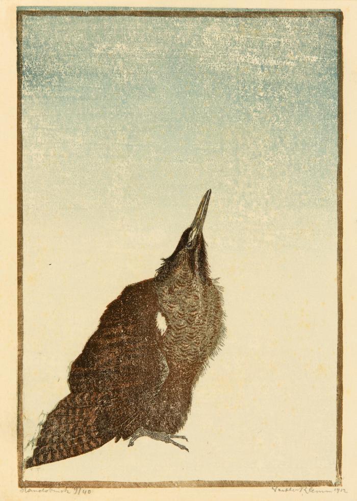 VOGELDARSTELLUNGEN