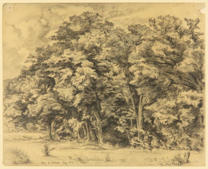 SAMMLUNG