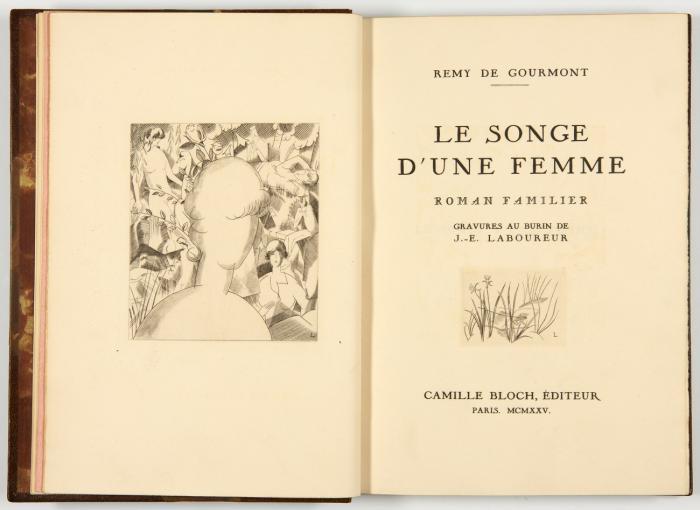 Le songe d'une femme. Roman famillier.