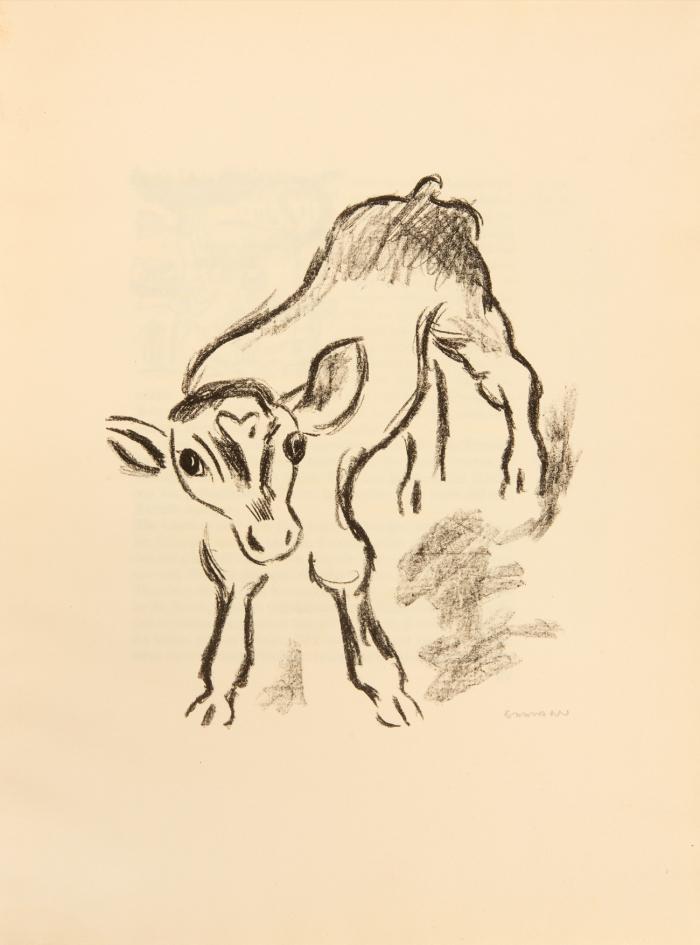 Tiere und Landschaften.