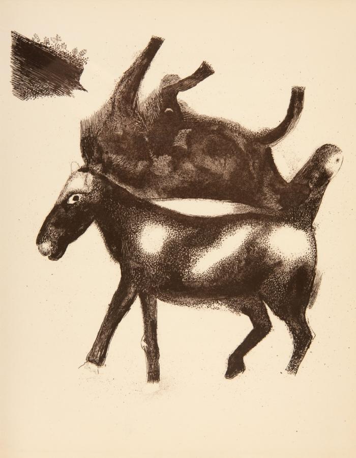 Journal d'un cheval.