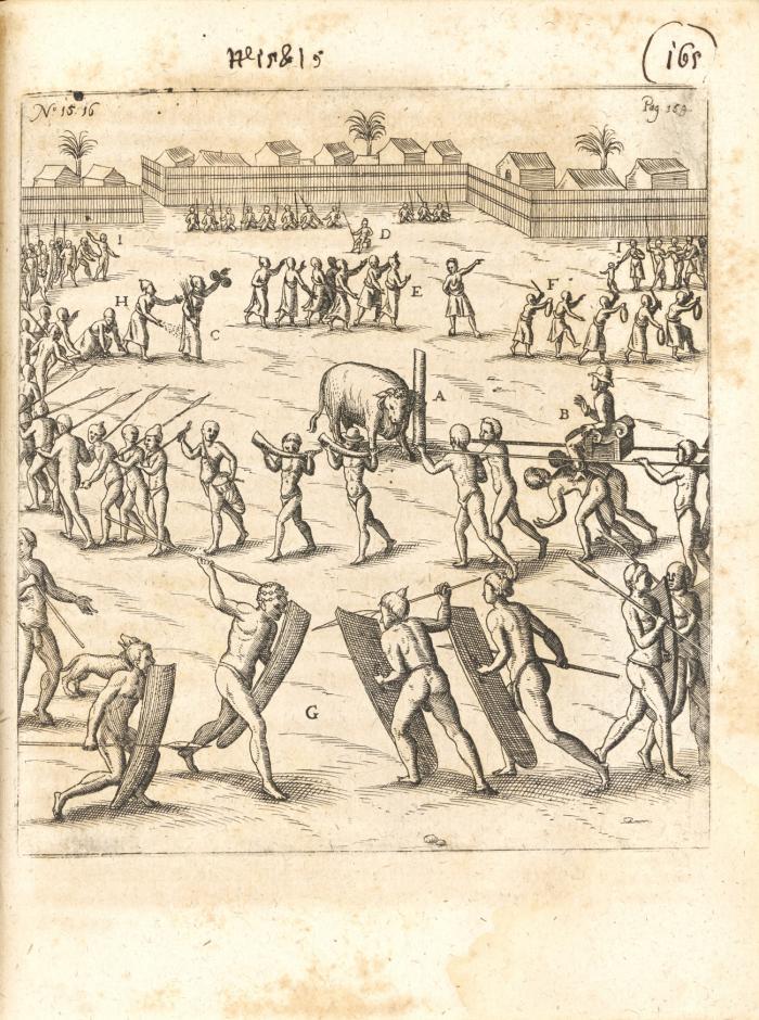 Siebende Schiffahrt. In das goldreiche Königreich Guineam, in Africa gelegen, so sonsten das Goldgestadt von Mina genan(n)t wird , welches von den Portugalesern ungefähr vor 200 Jahren erfunden.