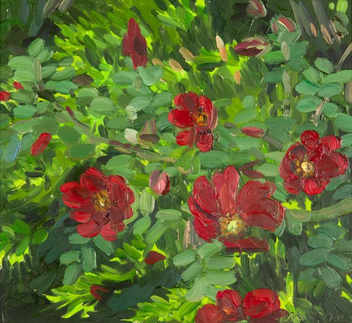 HISTORISCHE ROSE