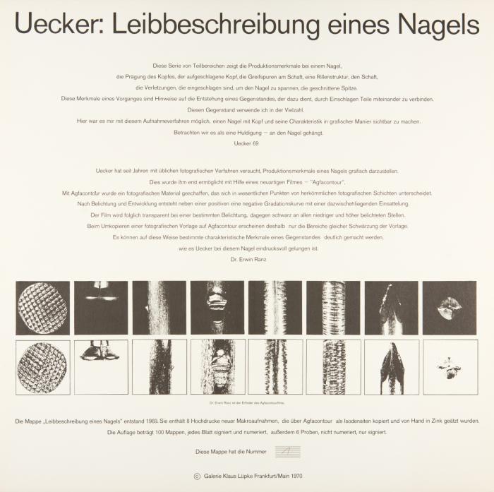 LEIBBESCHREIBUNG EINES NAGELS