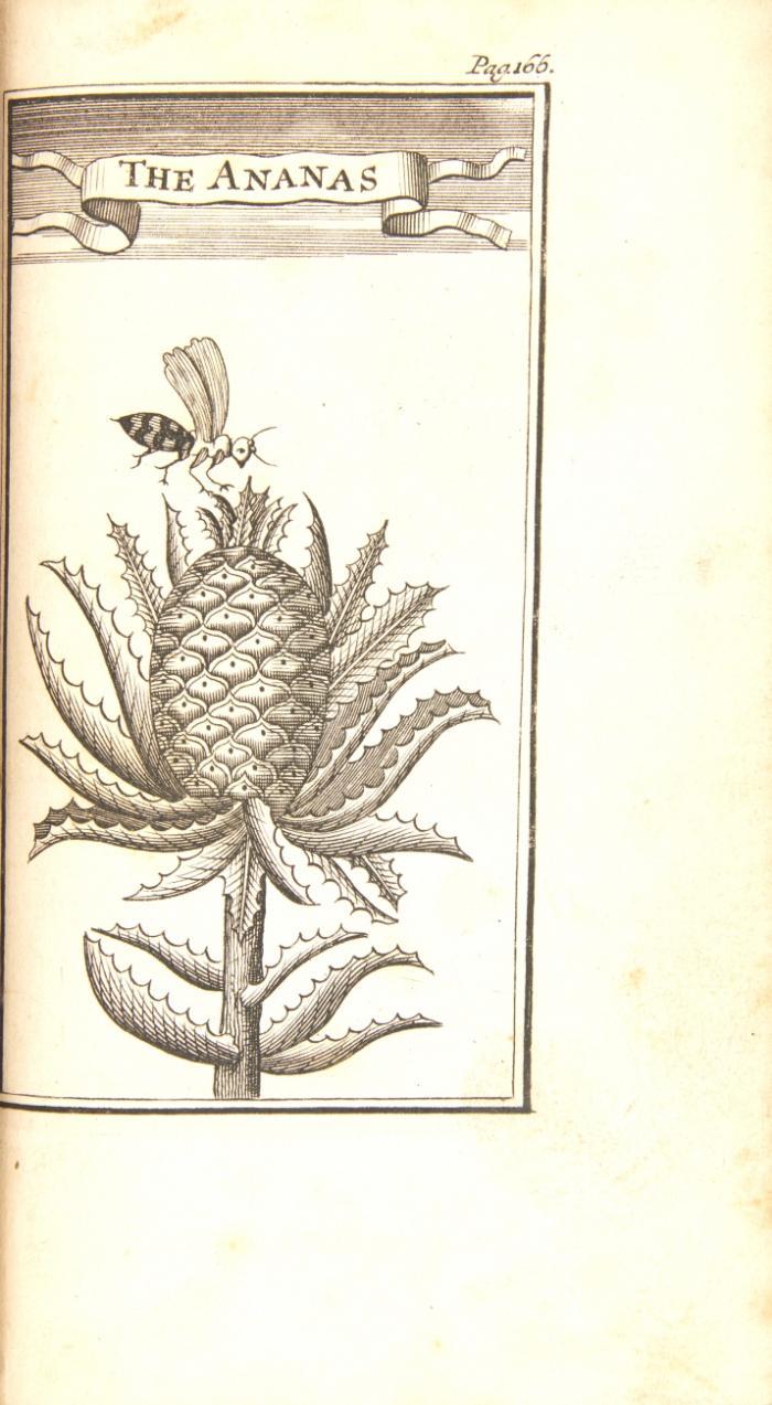 A new voyage to the East-Indies by Francis Leguat and his companions. Containing their adventures in two desart islands, and an account of the most remarkable things in Maurice Island, Batavia, at the Cape of Good Hope, the Island of St. Helena, and other places in their way to and from the desart isles. Adorn'd with maps and figures.
