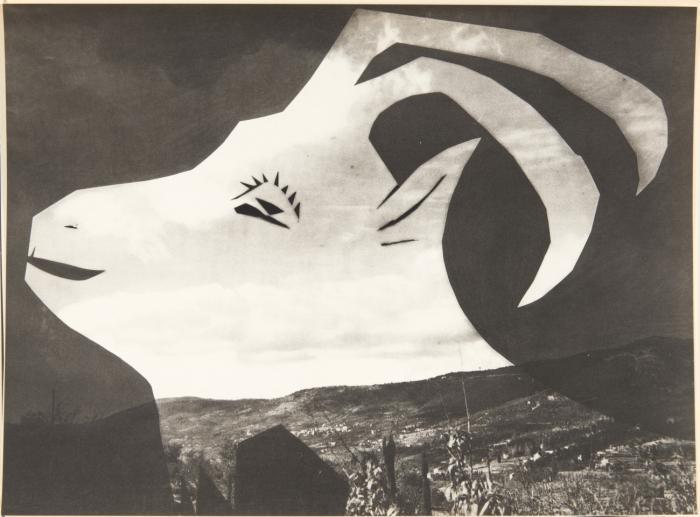 Diurnes. Découpages et photographies. Texte de Jacques Prévert.