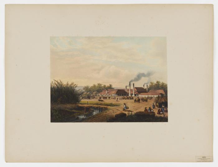 Java. Naar schilderijen en teekeningen ... op steen gebracht door J. C. Greive, jr.