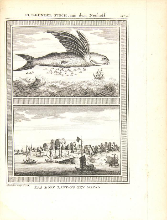 Allgemeine Historie der Reisen zu Wasser und zu Lande; oder Sammlung aller Reisebeschreibungen ... Bd. V. und VI zusammen in 1 Bd.