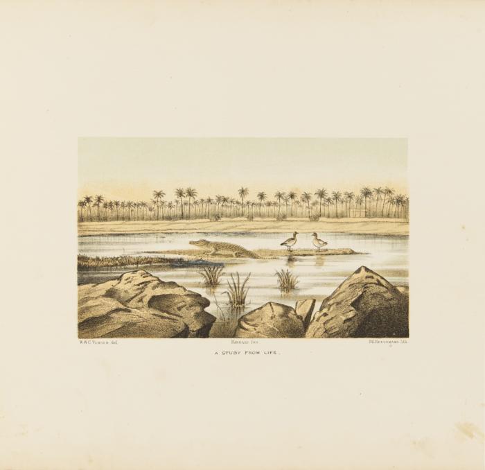 Sketches in the Soudan.