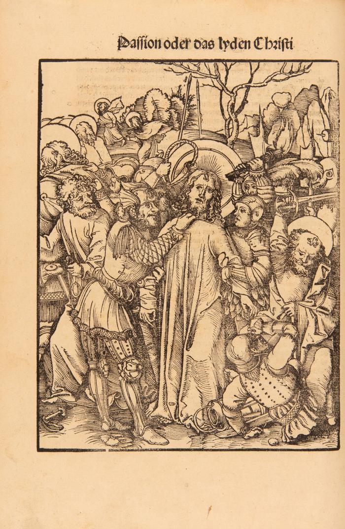 Der Passion oder dz lyden Jesu Christi uners herren, noch dem text der fyer Evangelisten, wie in dan der hochgelert Doctor Johanes Geyler von Keyserßberg zu Straßburg järlich geprediget hatt.