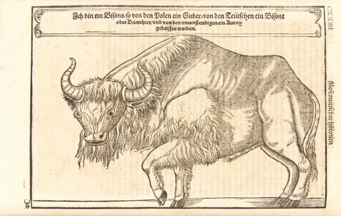 Moscoviter wunderbare Historien. In welcher deß treffenlichen Grossen land Reüssen, sampt der hauptstatt Moscauw, und anderer nammhafftigen umligenden Fürstenthumb ... gebreüch begriffen. Jetz Durch Heinrich Pantaleon verteütschet. Mit sampt Pauli Jouij Moscouitischer landen, und Georgen Wernhern Ungarischer wunderbaren wasseren beschreibung.