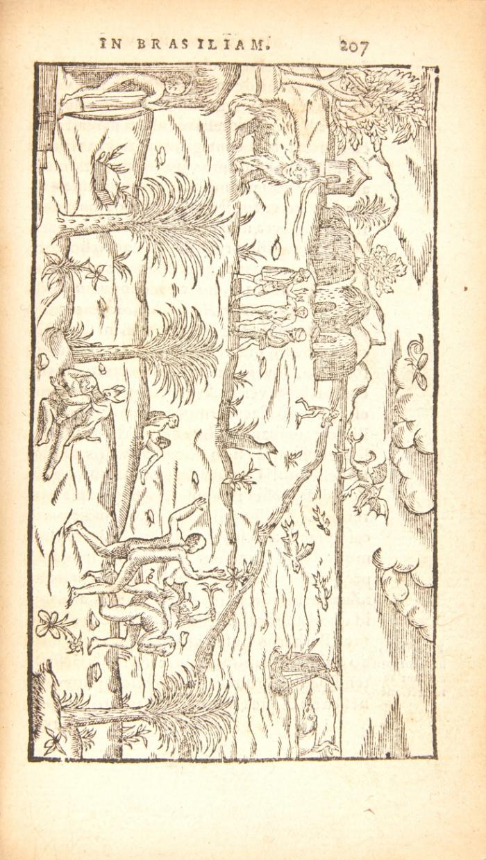 Historia navigationis in Brasiliam quae et America dicitur. Qua describitur autoris navigatio... Villegagnonis in America gesta: Brasiliensium victus & mores.
