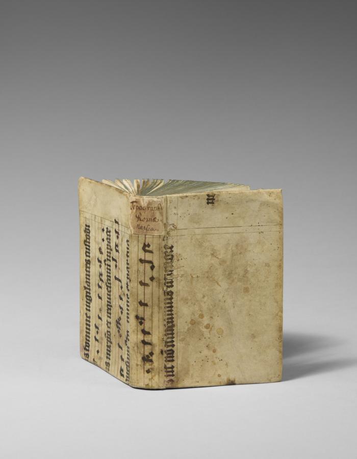 Urbis Romae topographia accurate, tum ex veterum, tum etiam recentiorum auctorum fontibus hausta.