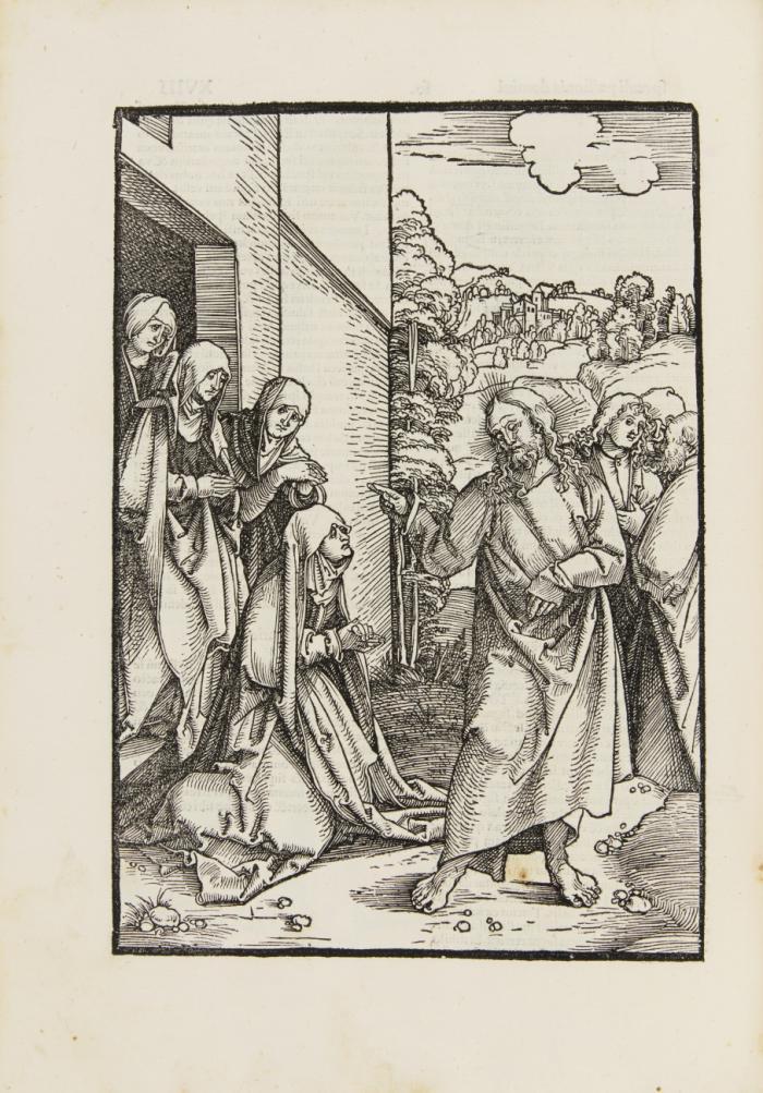 Speculum passionis domini nostri Ihesu Christi.