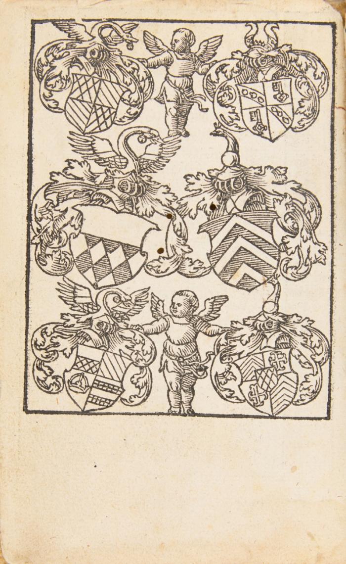 Der Psalter Latein und Teutsch, trewlich verdolmetscht und grüntlich außgelecht ... auß Dionysio Carthusiano und vil andern heiligen lerern versamelt.