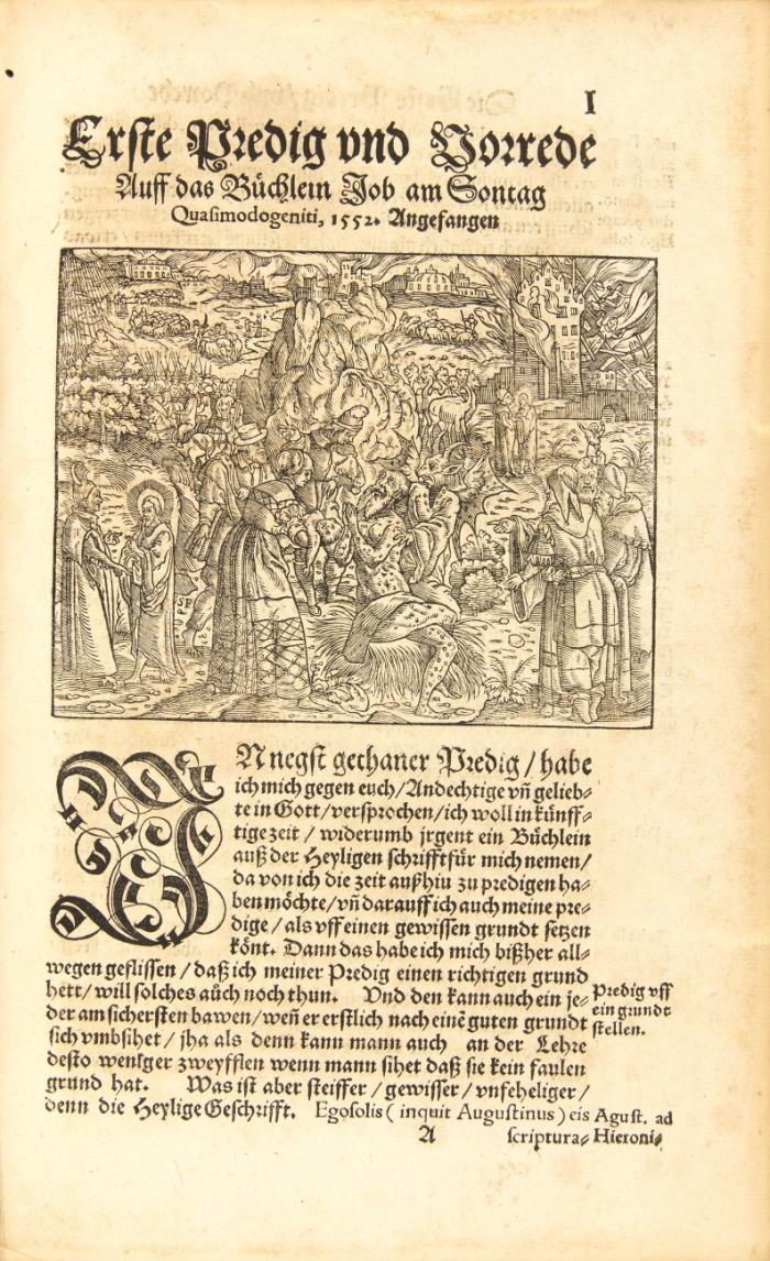 Christlich und nützlich Predig weyss aussgelegt, darinnen nicht alleyn nötige vermanug zur geduld ...