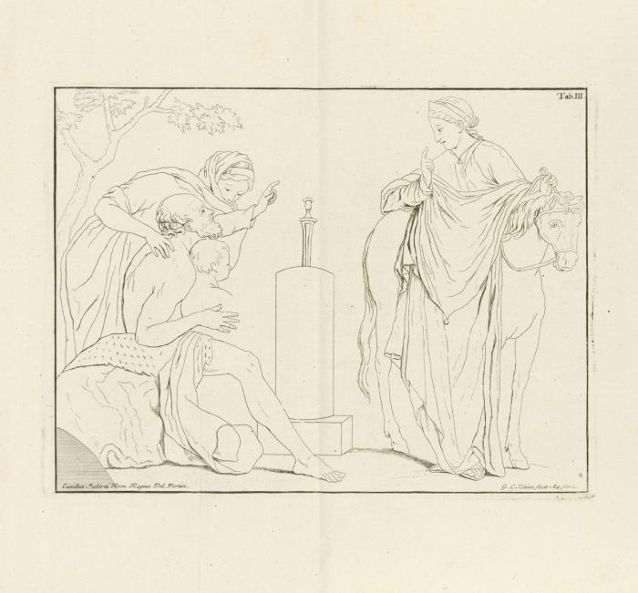 Abbildungen der Gemälde und Alterthümer, welche seit 1738 sowohl in der verschütteten Stadt Herkulanum, als auch in den umliegenden Gegenden an das Licht gebracht worden. 7 (von 8) Bdn.