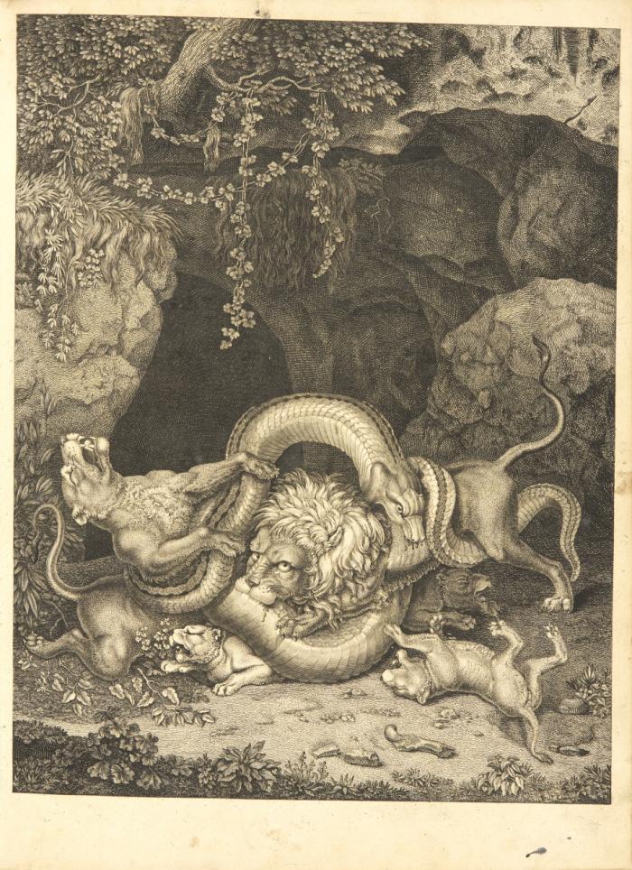 Tetes des differents animaux dessinées d'après nature pour donner une idée plus exacte de leurs caractères.