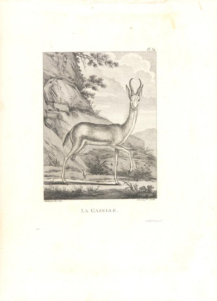 [Voyage au Sénégal]. Atlas pour servir au voyage du Sénégal.