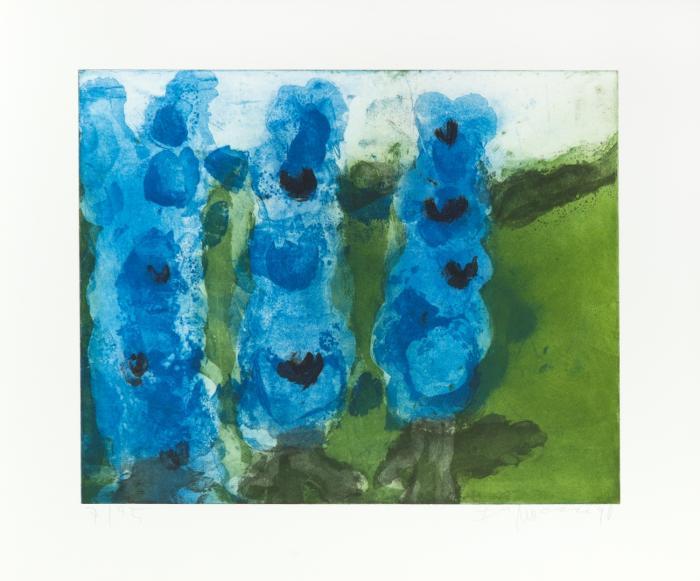 GARTENBLUMEN (RITTERSPORN / MOHN / MARGERITEN)