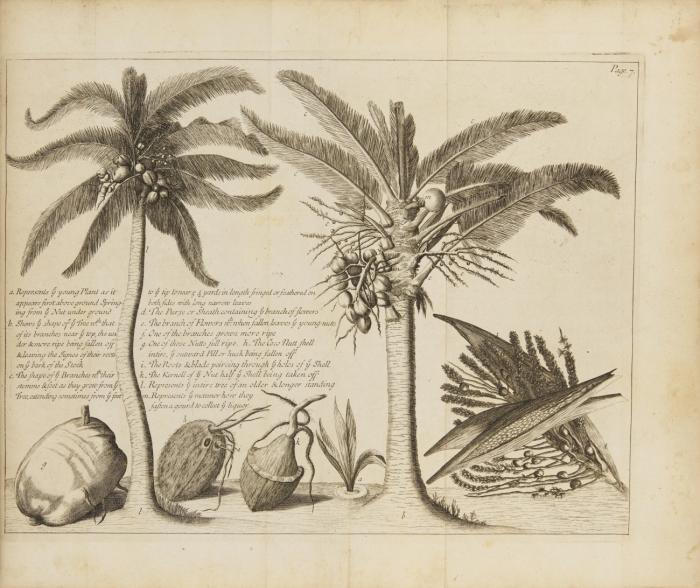 A new account of East-India and Persia, in eight letters. Being Nine Years Travels, Begun 1672. And Finished 1681. Containing Observations made of the Moral, Natural, and Artificial Estate of Those Countries: Namely of their Government, Religion...