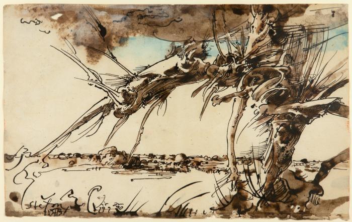 LANDSCHAFT