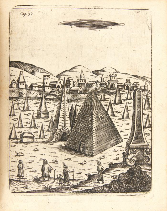 Orientalische Reisebeschreibung des Brandenburgischen Adelichen Pilgers. Nebst der Brandenburgischen Schifffahrt nach Guinea und der Verrichtung zu Morea. 2 Tle. in 1 Bd.